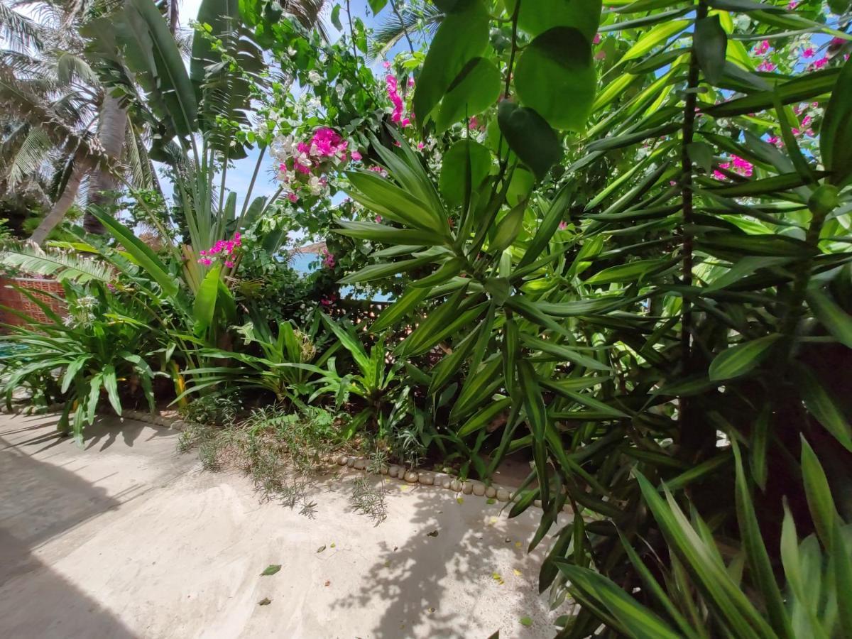 Haven Vietnam Vandrerhjem Quy Nhon Eksteriør bilde